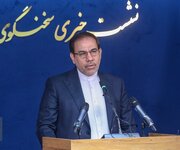 شبنم نعمت زاده هیچ حکم برائتی نگرفته است/ وثیقه ۹۰ میلیارد تومانی وی ضبط شد