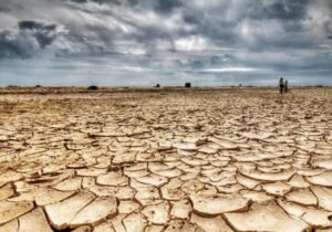 انتقاد تند یک نماینده به ضعف مدیریت در بحران آب / وزارت نیرو چنان رفتار میکند که گویی هیچ خطری وجود ندارد!