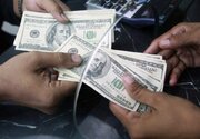 قیمت دلار، یورو و سایر ارزها امروز ۱۷ آذر/ دلار در این قیمت باورنکردنی ایستاد