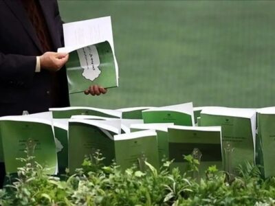 ببینید | موسوی: از فردا فرآیند بودجه ۱۴۰۵ در مجلس شروع می‎‌شود