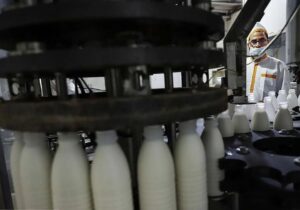 خبر مهم وزیر کشاورزی برای کالابرگ بگیران؛ افزایش قیمت لبنیات اصلاح می شود؟