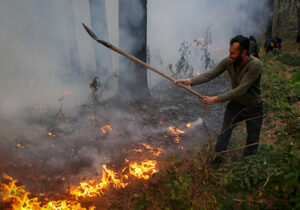 جزئیات جدید از آتشسوزی جنگلهای الیت/ مساحت سوختگی چقدر بود؟