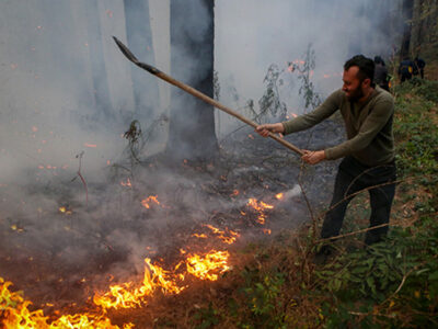 جزئیات جدید از آتشسوزی جنگلهای الیت/ مساحت سوختگی چقدر بود؟