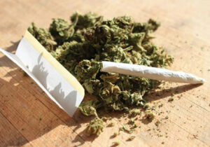 مضرات گل ۱۰ برابر شاهدانه است/ تغییرات ژنتیکی روی ماده مخدر «گل» در ایران/ تولید شیشه در افغانستان شدت گرفته است