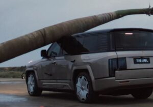 ببینید | سقوط نخل غولپیکر روی خودروی چینی / مقاومت تحسینبرانگیز