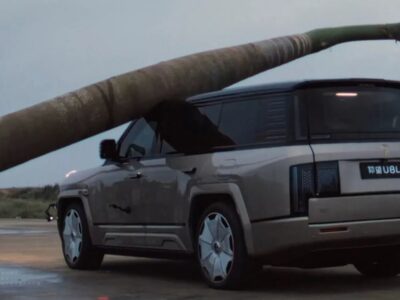 ببینید | سقوط نخل غول‌پیکر روی خودروی چینی / مقاومت تحسین‌برانگیز