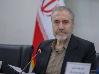 ایران برای تأمین نیاز دارویی خود نیازی به کشت خشخاش ندارد / «شقایق اولیفرا» می کاریم