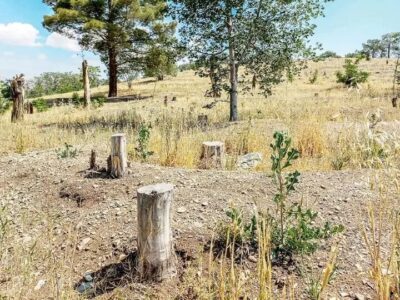 کاغذ مصرف می کنیم که کتاب درسی چاپ شود؛ این یعنی نابودی جنگلهای هیرکانی