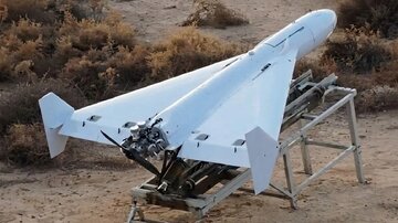 مشهورترین سلاح جهان / همه این پرنده ایرانی را می‌خواهند