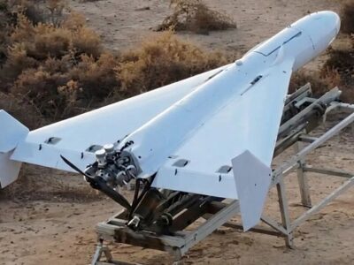 مشهورترین سلاح جهان / همه این پرنده ایرانی را می‌خواهند