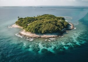 ببینید | تولد یک جزیره تازه در اقیانوس آرام