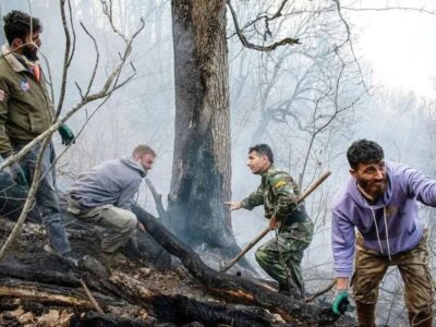 ببینید | اطفای فوری حریق جزئی در جنگل الیت