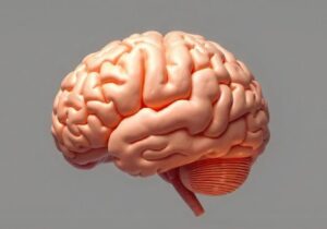 سخن پیامبر(ص) که در دانشگاه برگن نروژ ثابت شد!