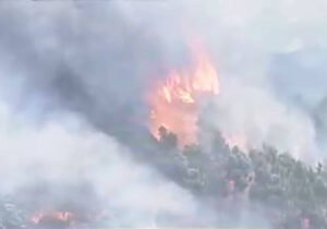 ببینید | آتش سوزی گسترده در استرالیا