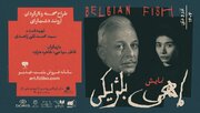 وقتی «ماهی بلژیکی» رازهایش را فاش می‌کند