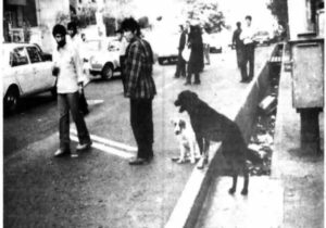 ۵۰ سال پیش سگهای خانگی تهران چه وضعی داشتند؟ + عکس