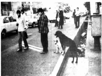 ۵۰ سال پیش سگهای خانگی تهران چه وضعی داشتند؟ + عکس