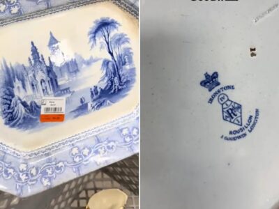 بشقاب ارزان، عتیقه گرانقیمت از آب درآمد / راز نوشتههای پشت بشقاب چه بود؟