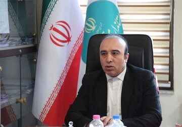 اختصاص ۳۵۰ میلیارد تومان تسهیلات مشاغل خانگی