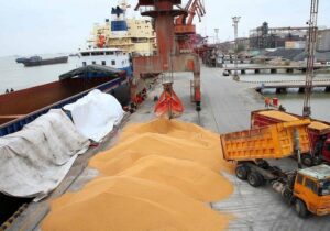 آغاز تخلیه ۶۶ هزار تُن گندم در بندر شهید رجایی