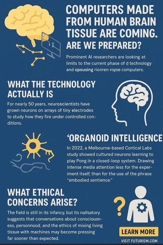 کامپیوترهای ساختهشده از مغز انسان در راهند