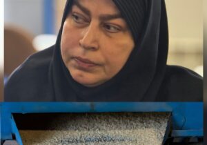 حسینی:  ارقام جدید برنج کشور سازگار با تغییرات اقلیمی است