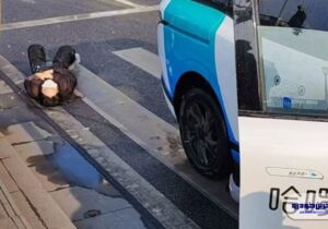 ببینید | لحظه هولناک قتل عمد عابر پیاده توسط راننده خودرو به فرار از پرداخت غرامت دائم‌العمر! / حاوی تصاویر دلخراش