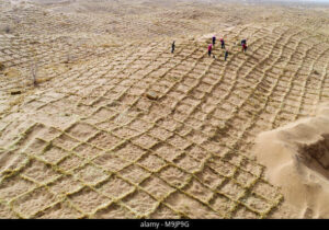 «فیزیکِ فولاد» به نجاتِ «بیابان» می‌آید؛ فرمول فراموش‌ شده‌ای که می‌تواند بدون آب و برق، گلویِ کانون‌های ریزگرد خوزستان را بفشارد