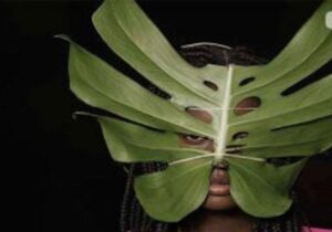 عوامل روانشناختی مدگرایی جوانان و آسیب ها و پیامدهای آن