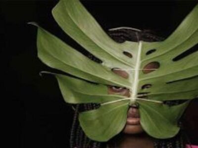 عوامل روانشناختی مدگرایی جوانان و آسیب ها و پیامدهای آن