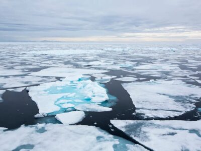 چرا هیچکس نمیتواند در قطب شمال زندگی کند؟