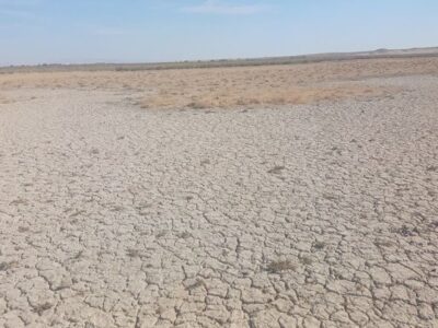 تالاب بندعلیخان خشک شد