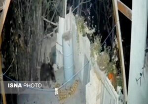 حضور غیرمنتظره خرس در منزل مسکونی