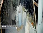 حضور غیرمنتظره خرس در منزل مسکونی