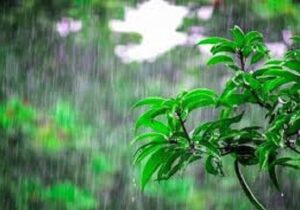 باران بیشتر مناطق استان اردبیل را فرا گرفت