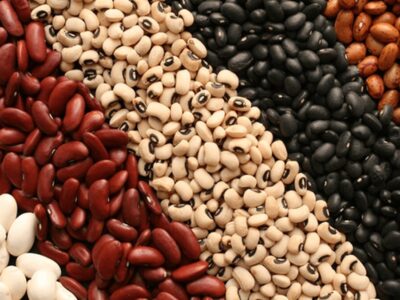 تصمیم جدید دولت برای بازار حبوبات / لوبیا لوکس شد!