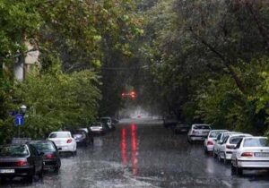 ببینید | بارش باران صبحگاهی در تهران