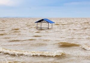 ببینید | دریاچه ارومیه جانی دوباره گرفت