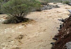 ببینید | جاری شدن سیل در جاده سرتنگ زعفرانیه در مهران
