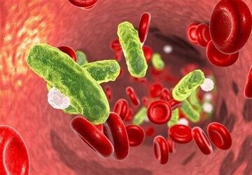 نهج حیات| توصیه امام علی برای مواجهه با بیماری