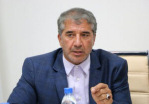 عضو کمیسیون اقتصاد مجلس: کالابرگ الکترونیکی به تنهایی پاسخگوی وضعیت بد معیشتی نیست/ دستگاهها با وزارت رفاه همکاری کنند