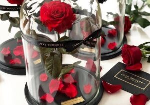 قیمت گل در روز مادر چند برابر شد؟ + جدول قیمت