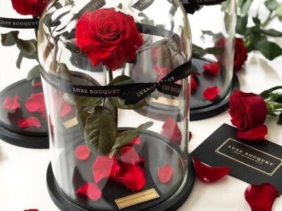 قیمت گل در روز مادر چند برابر شد؟ + جدول قیمت