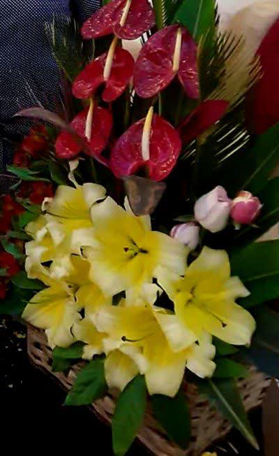 سردار شادمانی برای روز زن چه میخرید؟/ تصویری از آخرین هدیه روز زن سردار برای همسرش