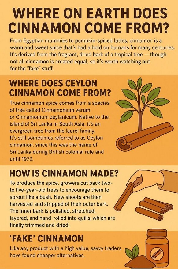 داستان ادویهای که جهان را تغییر داد / ادویهای که ۱۰۰ برابر گرانتر فروخته میشد