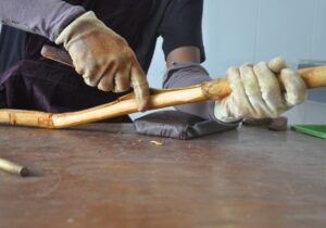 داستان ادویهای که جهان را تغییر داد / ادویهای که ۱۰۰ برابر گرانتر فروخته میشد