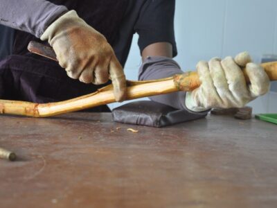 داستان ادویهای که جهان را تغییر داد / ادویهای که ۱۰۰ برابر گرانتر فروخته میشد