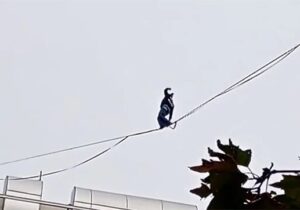 ببینید | حرکت خطرناک دختر جوان در تهران روی سیم‌های بین ساختمان