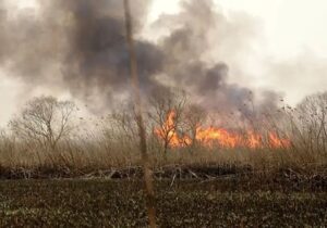 ببینید | دود غلیظ در کمربندی اسالم بر اثر آتش‌سوزی بنزین نشت‌کرده در جوی آب