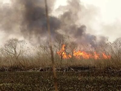 ببینید | دود غلیظ در کمربندی اسالم بر اثر آتش‌سوزی بنزین نشت‌کرده در جوی آب